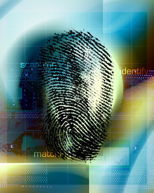 Fingerprint scan
